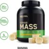 Optimum Nutrition Serious Mass